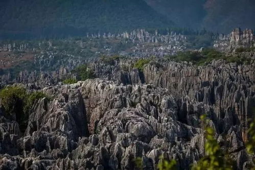 这条自驾路线太美,你还宅得住吗